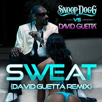 Snoop Dogg, David Guetta – Sweat [Snoop Dogg vs David Guetta Remix]