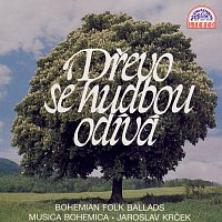 Musica Bohemica, Jaroslav Krček – Dřevo se hudbou odívá