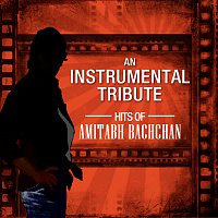 Různí interpreti – Hits Of Amitabh Bachchan - An Instrumental Tribute