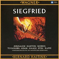 Přední strana obalu CD Wagner: Siegfried