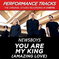 Newsboys – You Are My King (Amazing Love) [Performance Tracks] - EP