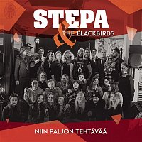 Stepa – Niin paljon tehtavaa (feat. The Blackbirds)