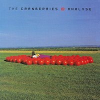 The Cranberries – Analyse