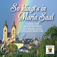 Chore, Musikgruppen aus Maria Saal – So klingt’s in Maria Saal