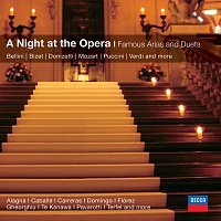 Přední strana obalu CD An Evening at the Opera: Famous Arias And Duets