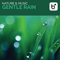 David Arkenstone – Nature & Music: Gentle Rain