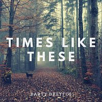 Barty Dreyfus – Times Like These (Arr. for Guitar)