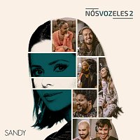 Sandy – Nós, VOZ, Eles 2