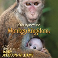Různí interpreti – Disneynature: Monkey Kingdom [Original Motion Picture Soundtrack]