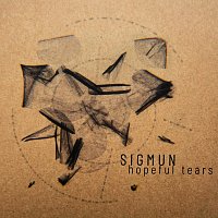 Přední strana obalu CD Hopeful Tears