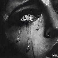 Přední strana obalu CD Try Me