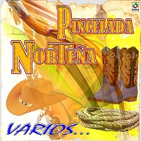 Různí interpreti – Pincelada Nortena