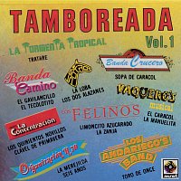 Různí interpreti – Tamboreada, Vol. 1