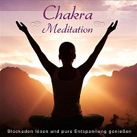 M. Sadigh & Dave Stern – Chakra Meditation