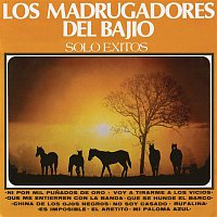 Přední strana obalu CD Sólo Éxitos