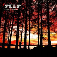 Přední strana obalu CD The Trees / Sunrise EP