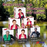 Wienerlieder zum Schmunzeln und Gspurn