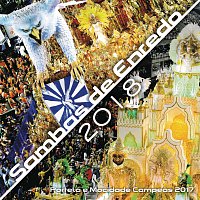 Přední strana obalu CD Sambas De Enredo Das Escolas De Samba 2018