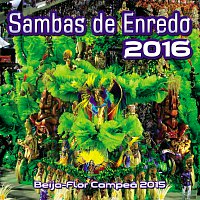 Přední strana obalu CD Sambas De Enredo Das Escolas De Samba - 2016
