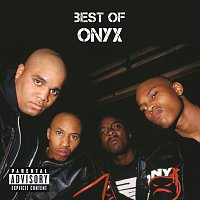 Přední strana obalu CD Best Of Onyx