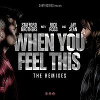 Stafford Brothers – When You Feel This Remixes