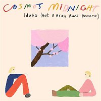 Cosmo's Midnight – Idaho (Hot 8 Brass Band Rework)