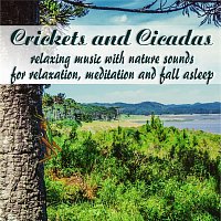Nature Sounds for Relaxation – Crickets and Cicadas, relaxing music with nature sounds for relaxation, meditation and fall asleep