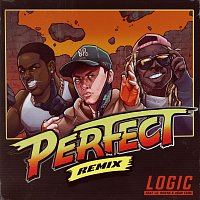 Perfect [Remix]