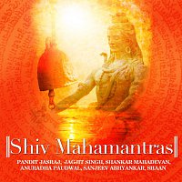 Různí interpreti – Shiv Mahamantras