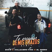 ECKO, Callejero Fino, El Perro – Te Escapas De Mis Brazos (Remix)