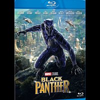 Různí interpreti – Black Panther Blu-ray