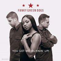 Funky Green Dogs – You Got Me (Burnin' Up)
