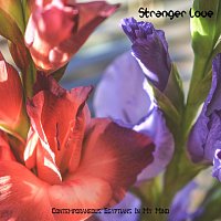 Contemporaneous Egyptians In My Mind – Stranger Love