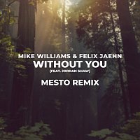 Without You [Mesto Remix]