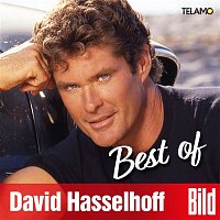 David Hasselhoff – BILD Best of