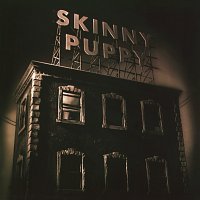 Skinny Puppy – The Process