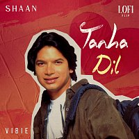 Shaan, VIBIE – Tanha Dil [Lofi Flip]