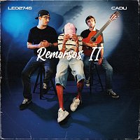 LEO2745, CADU – REMORSOS II