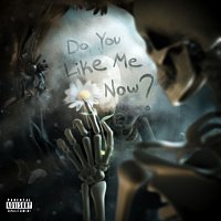 OmenXIII, Sleeping With Sirens – Do You Like Me Now