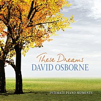 David Osborne – These Dreams: Intimate Piano Moments
