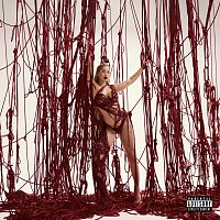 Přední strana obalu CD Natural