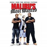 Různí interpreti – Malibu's Most Wanted