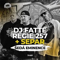 DJ Fatte & Regie 257 – Šedá eminence (feat. Separ)
