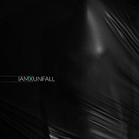 IAMX – Unfall