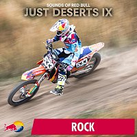 Přední strana obalu CD Just Deserts IX