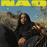 NAO – Another Lifetime