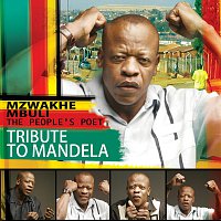 Mzwakhe Mbuli – Tribute To Mandela