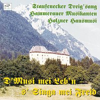 Staufenecker Dreig'sang, Hammerauer Musikanten, Holzner Hausmusi – D'Musi mei Leb'n, s' Singa mei Freid