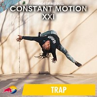 Přední strana obalu CD Constant Motion XXI