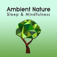 Sleepy Times, The Sleep Specialist & Natural Sound Makers – Sleep to Ambient Nature Sounds